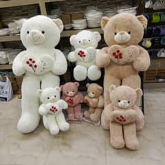 Imported Teddy