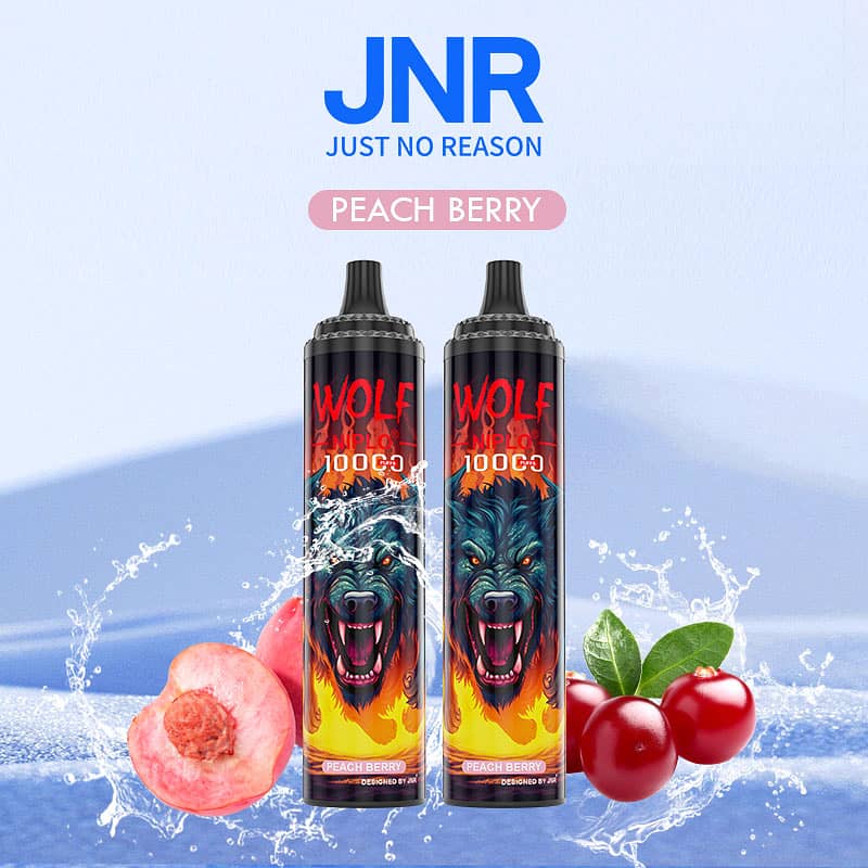 JNR/Vape/Wolf Niplo 10000 12