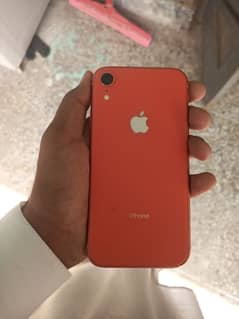 iphone XR back change