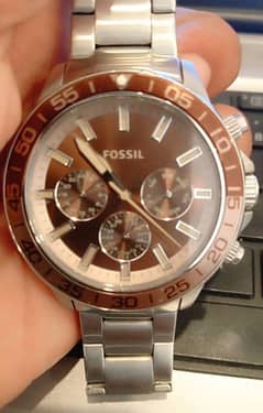 FOSSILS LIMITED EDITION