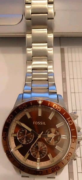 FOSSILS LIMITED EDITION 3