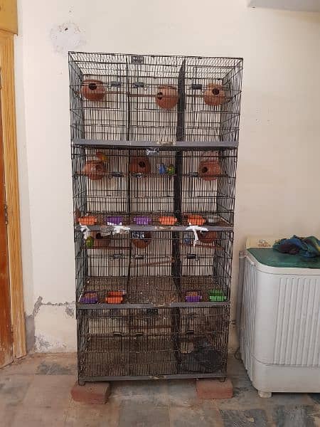 12 portion cage with birds. Love Birds + Hogoroma 7