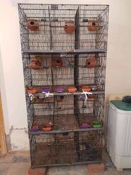 12 portion cage with birds. Love Birds + Hogoroma 11