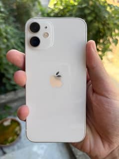 iPhone 12 Mini