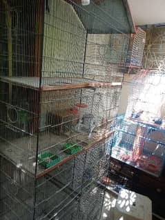 7 portion cage