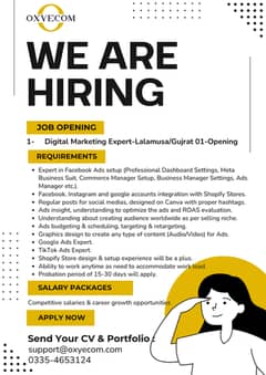 Digital Marketing Expert Required