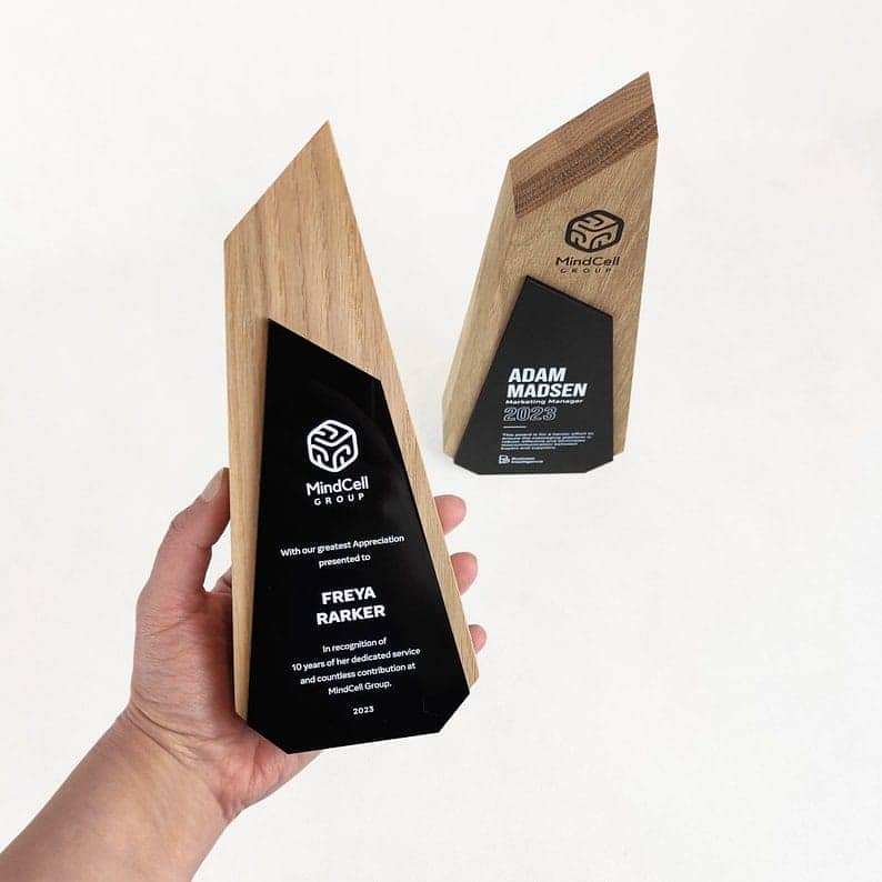 Award shield / Glass shield / Trophy / metal & wood award trophie 3