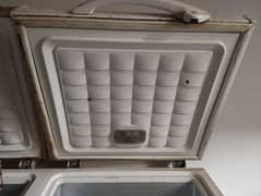 home used 2 door D freezer