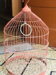 Parrot Cage