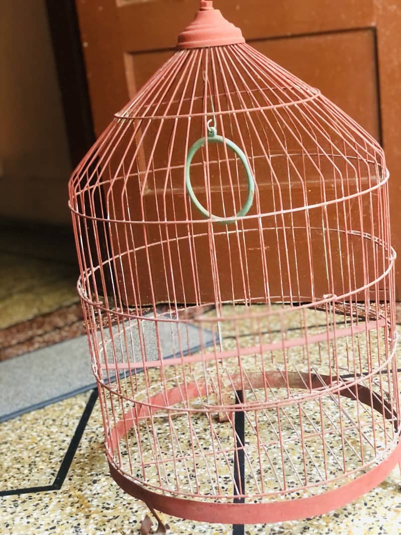 Parrot Cage 2