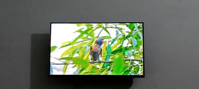 Tcl 32 S5400 2K Full HD (1080p) 1.5/16 Gb 15 month In warranty