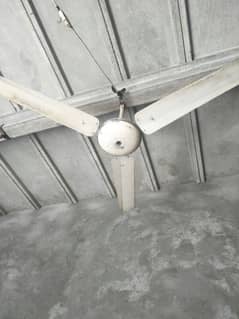 celliing fan