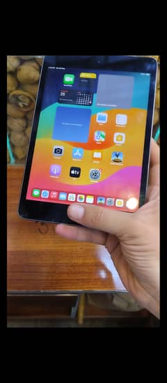 iPad mini 5 SIM version best for pubg