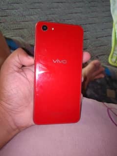 vivo