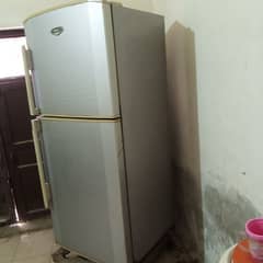 Full size Haier fridge