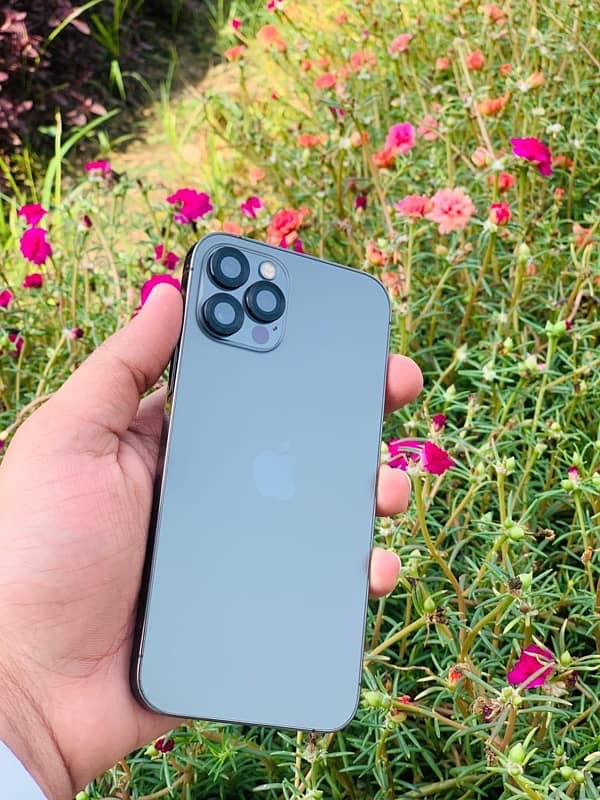 Iphone 12 Pro  (256 gb) 0