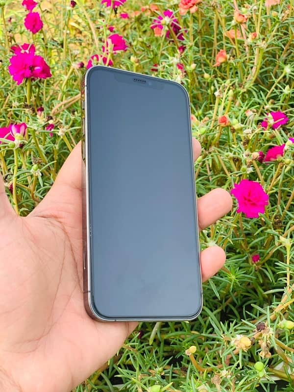 Iphone 12 Pro  (256 gb) 1