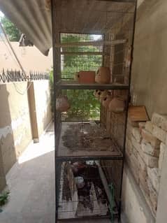 parrot cage and hen cage