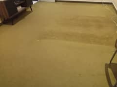 Big Carpet for Big room 0