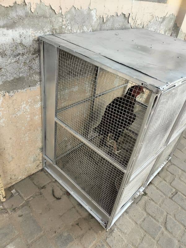 cage for hens 1