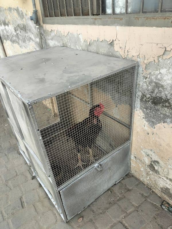 cage for hens 3