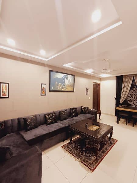 Luxury 1 BHK Apartments for families only (Read Description) 13