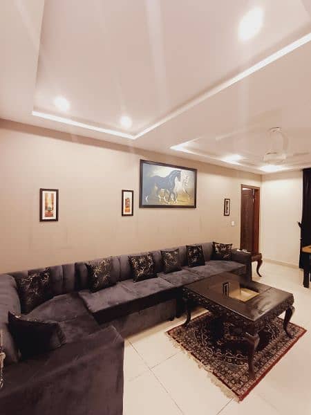 Luxury 1 BHK Apartments for families only (Read Description) 14