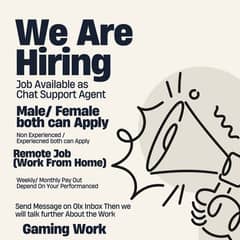 CHAT SUPPORT (GAMING)  WORK FROM HOME Usa Based Campaign 0