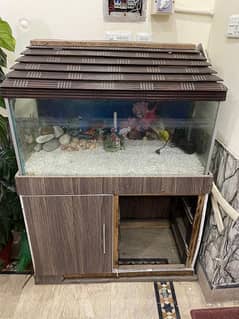 Fish Aquarium