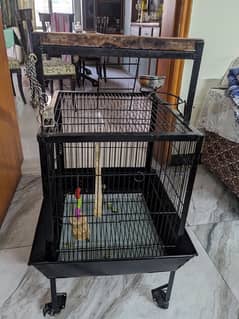 new style Bird cage