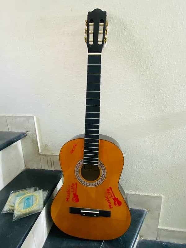 Acoustic Guitar 3