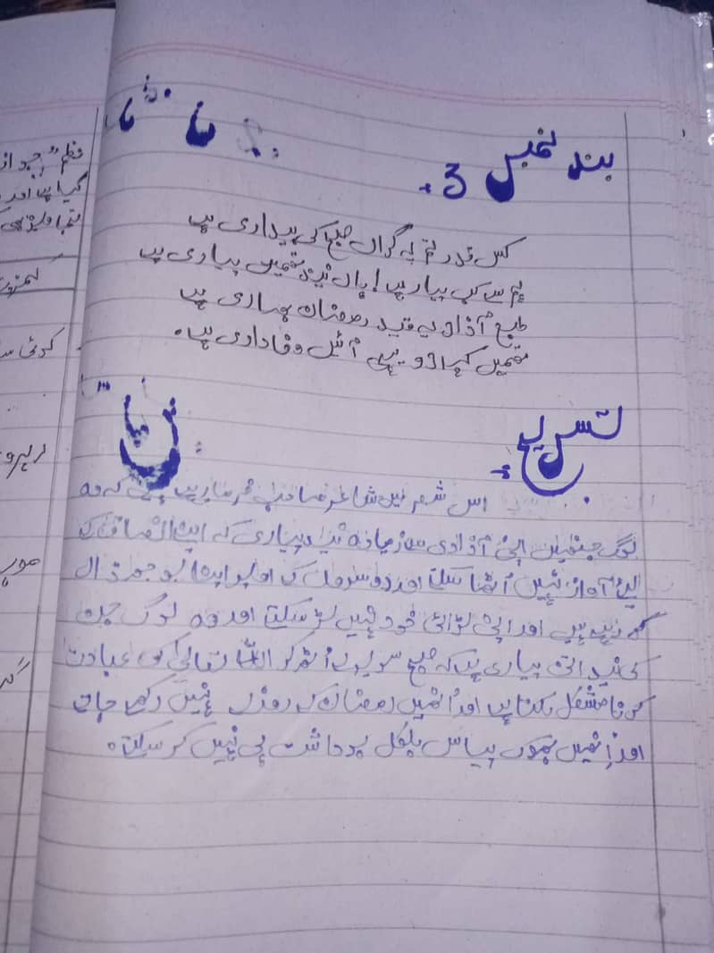 Professional Urdu, English Assignment in lowest. 2