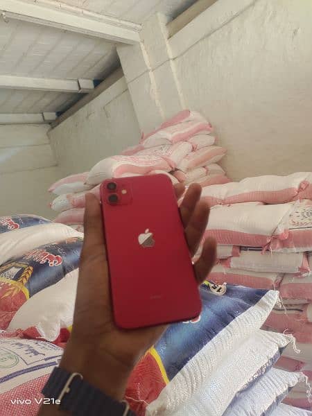 iPhone 11 64GB V good Condition 8