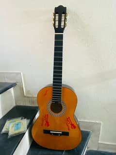 Acoustic guitar