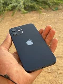 iPhone 12