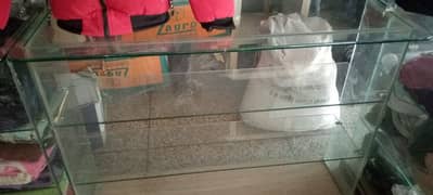 shop's glass counter for sale