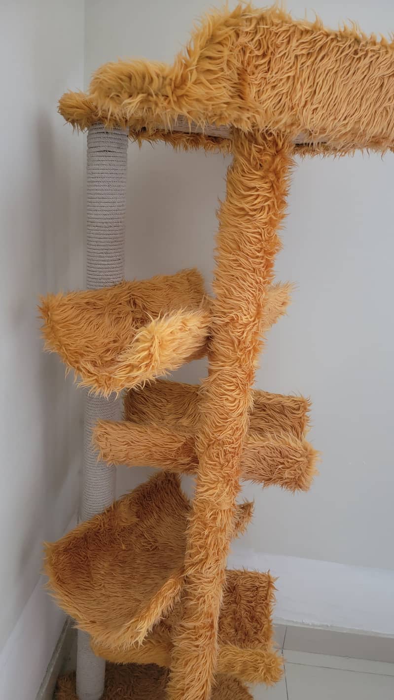 Cat Tree Brand New 5 feet + 1