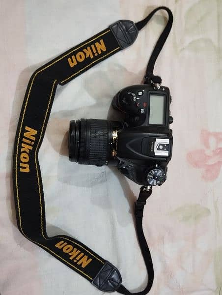 Nikon D 7200 with AF-P DX NIKKOR 18-55mm f/3.5-5.6G VR lense 11