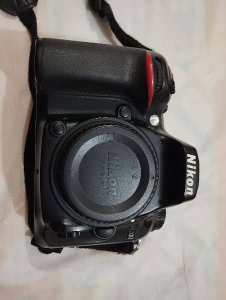 Nikon D 7200 with AF-P DX NIKKOR 18-55mm f/3.5-5.6G VR lense 12