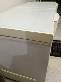 Waves 14 CFT Double Door Deep Freezer