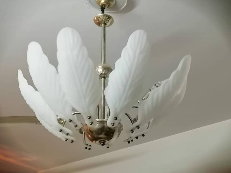 Modern Snow White Leaves Shaped Luxury Chandelier 9