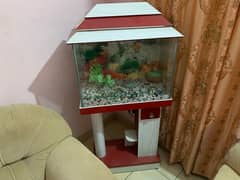 Aquarium with Motor 0