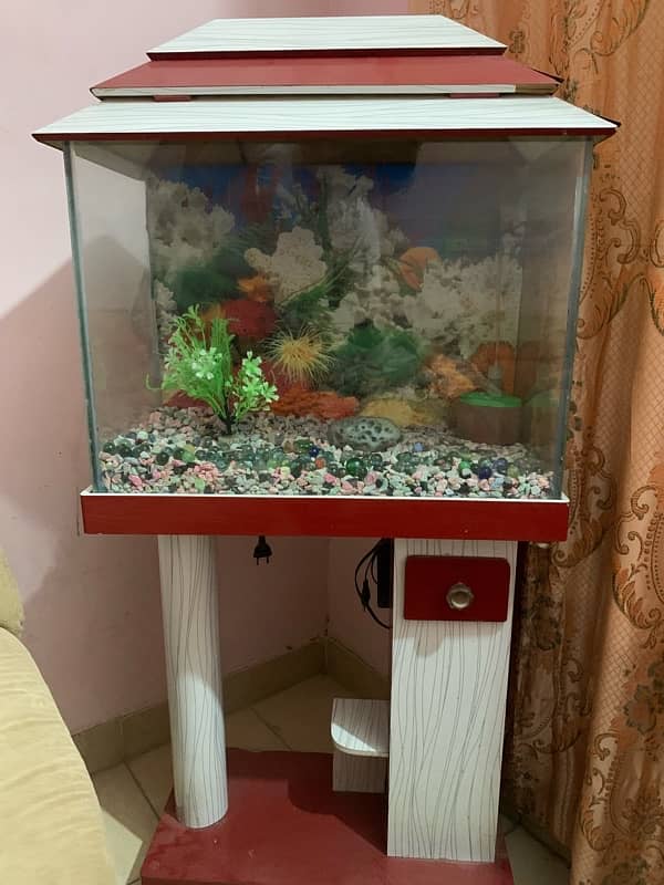 Aquarium with Motor 2