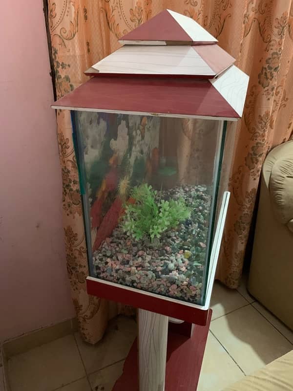 Aquarium with Motor 3