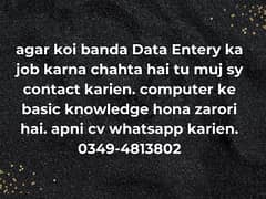 Need Data Entry Operators