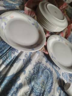 cheni ki new plates h