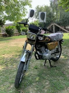 Honda CG 125 Black Self Start 2024 Gold Edition