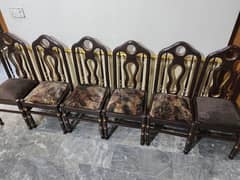 pure diyar dining chairs