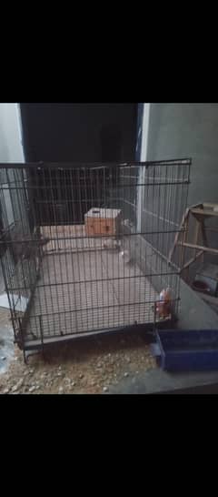 Cage for sale