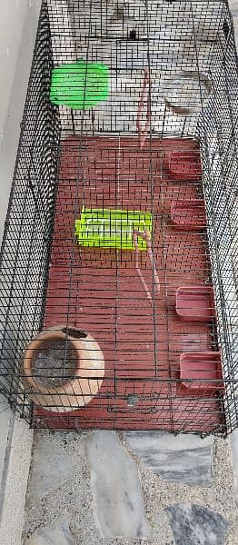 Cage For Sale 2